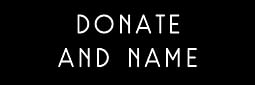 Donate and name button