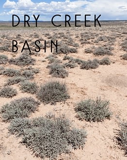 Naming Rights to Dry Creek Basin
